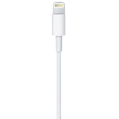 Apple 1 Meter USB 3.1 (Type-C) to Lightning Power/Charging USB Cable For All Apple Devices